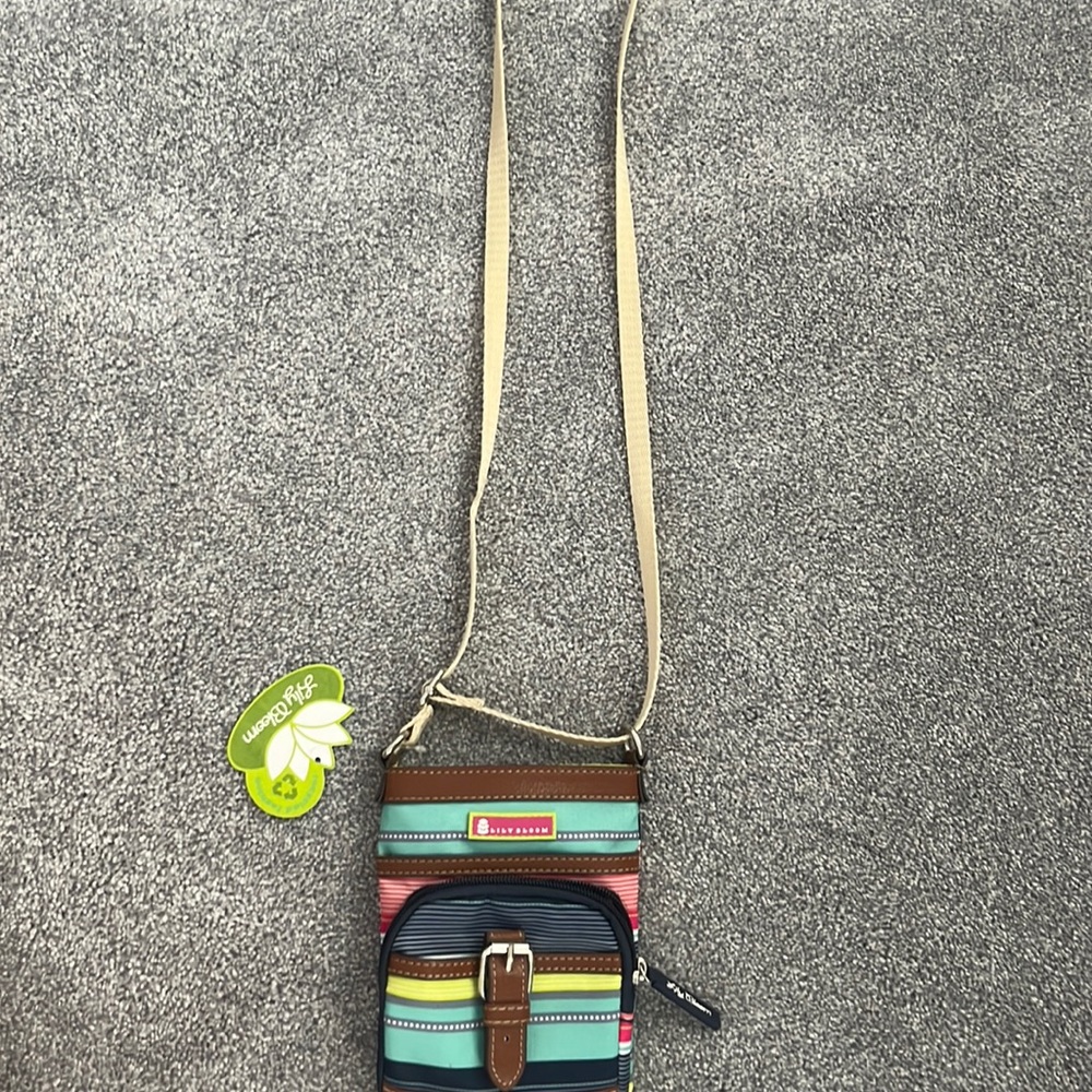 Lily Bloom striped bag